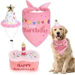 EXPAWLORER Dog Birthday Outfit - Cute Hat Bandana Scarf and Squeaky Cake Dog Toy for Birthday Party Supplies Gift, Great Party Decorations for Small Medium Large Dogs Girl Pink