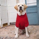EXPAWLORER Dog Coat Polar Fleece Sweater Jacket, Warm Winter Dog Clothes with Dual D Ring,Zip Up Dog Cold Weather Coats, Windproof Adjustable Pet Apparel Outfit for Small Medium Large Dogs Boys Girls