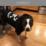 EXPAWLORER Dog Hoodie - Bad to The Bone Lettered Dog Sweatshirt with Hood, Warm Fleece Dog Sweater Clothes with Leash Hole, Cozy Soft Pet Outfit for Small Medium Dogs, M