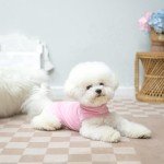 EXPAWLORER Soft Cat Sweater - Cat Sweaters for Cats Only Warm Cat Clothes, Fall and Winter Coat Pullover Design, Fleeced Sweatshirt Clothing Also for Puppies Small Dogs, Pink L