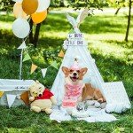 EXPAWLORER Dog Birthday Outfit - Cute Hat Bandana Scarf and Squeaky Cake Dog Toy for Birthday Party Supplies Gift, Great Party Decorations for Small Medium Large Dogs Girl Pink