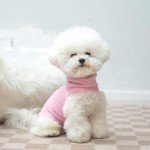 EXPAWLORER Soft Cat Sweater - Cat Sweaters for Cats Only Warm Cat Clothes, Fall and Winter Coat Pullover Design, Fleeced Sweatshirt Clothing Also for Puppies Small Dogs, Pink L