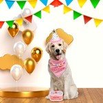 EXPAWLORER Dog Birthday Outfit - Cute Hat Bandana Scarf and Squeaky Cake Dog Toy for Birthday Party Supplies Gift, Great Party Decorations for Small Medium Large Dogs Girl Pink