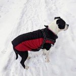 EXPAWLORER 2Pieces Dog Winter Coat - Waterproof Fleece Dog Coat with Harness Built in, Reflective Windproof Zipper Dog Jacket, Dog Cold Weather Clothes for Outdoor(Grey and Red, Large)