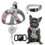 EXPAWLORER Classic Plaid Puppy Harness - Small Dog Harness and Leash Set - Dog Collar and Leash Set with AirTag Holder, Soft Padded Step in Dog Vest Harness No Pull Reflective for Outdoor, Grey XS