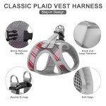 EXPAWLORER Classic Plaid Puppy Harness - Small Dog Harness and Leash Set - Dog Collar and Leash Set with AirTag Holder, Soft Padded Step in Dog Vest Harness No Pull Reflective for Outdoor, Grey XS