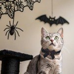 EXPAWLORER Cat Collar with Bells,Adjustable Soft Velvet Cat Collar Breakaway with Flower Accessory,Safety Quick Release Gothic Style Pet Collar for Cat,Kitten,Small Dog