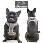 EXPAWLORER Classic Plaid Puppy Harness - Small Dog Harness and Leash Set - Dog Collar and Leash Set with AirTag Holder, Soft Padded Step in Dog Vest Harness No Pull Reflective for Outdoor, Grey XS
