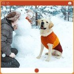 EXPAWLORER Dog Sweater - Large Dog Fall Sweaters for Dogs Girls Boys,Classic Turtleneck Knitwear Dog Clothes for Cold Weather, Cable Knit Dog Outfit,Coat,Pet Apparel(Orange,XL)