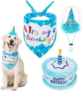 EXPAWLORER Dog Birthday Bandana Set - Cute Hat and Squeaky Cake Toy for Birthday Party Supplies Gift - Great for Small Medium Large Dogs Blue