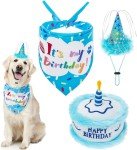 EXPAWLORER Dog Birthday Bandana Set - Cute Hat and Squeaky Cake Toy for Birthday Party Supplies Gift - Great for Small Medium Large Dogs Blue