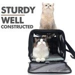 EXPAWLORER Cat Carrier Large, Soft-Sided Pet Carrier for Cat,Top Load Cat Travel Carriers for Medium Cats Under 25, Airline Approved Pet Bag Carriers Fit 2 Kitties Small Dogs