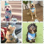 EXPAWLORER Dog Birthday Bandana Set - Cute Hat and Squeaky Cake Toy for Birthday Party Supplies Gift - Great for Small Medium Large Dogs Blue