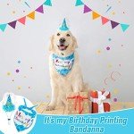 EXPAWLORER Dog Birthday Bandana Set - Cute Hat and Squeaky Cake Toy for Birthday Party Supplies Gift - Great for Small Medium Large Dogs Blue
