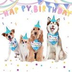 EXPAWLORER Dog Birthday Bandana Set - Cute Hat and Squeaky Cake Toy for Birthday Party Supplies Gift - Great for Small Medium Large Dogs Blue