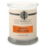 Archipelago Botanicals Soy Candle Hand-Poured Premium Wax, Scented Candle for Home, Burns Approx. 60 Hours, Mango, Tangerine, Glass Candle Jar, 4.5 Inch, 8.6oz