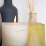 Archipelago Botanicals Scented Candle, Havana, Hand-Poured Premium Wax Blend, Candle for The Home, Lead-Free Cotton Wicks, Glass Candle Jar with Gift Box, Burns Approx. 60 Hours, 10 Oz.