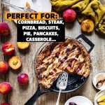 Stargazer 10.5-Inch Cast Iron Skillet | Made in USA, Seasoned, Even Heat Distribution, Easy to Clean, Smooth Nonstick Finish for Grilling, Frying, Sauteing, Searing, Baking