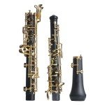 Bb Student Clarinet with Case and Accessories