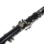Wilmington Bb Clarinet for Students (Model 901)