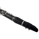 Wilmington Bb Clarinet for Students (Model 901)