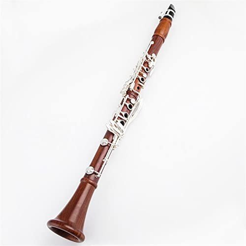 Bb Rosewood Student Clarinet with Silver Keys