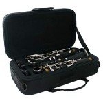 Wilmington Bb Clarinet for Students (Model 901)