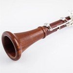 Bb Rosewood Student Clarinet with Silver Keys