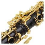 KERREY Student B-Flat Clarinet with Gold Keys
