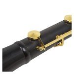 KERREY Student B-Flat Clarinet with Gold Keys