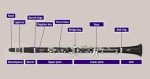 Etude ECL-100 Student Clarinet Model
