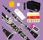 Etude ECL-100 Student Clarinet Model