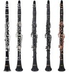 KAYATA B Flat Rose Gold Student Clarinet Set