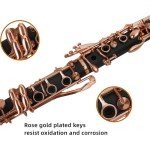 KAYATA B Flat Rose Gold Student Clarinet Set