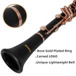 KAYATA B Flat Rose Gold Student Clarinet Set