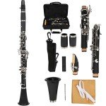 Beginner Bb Clarinet with Case and Accessories