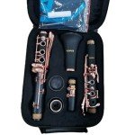 KAYATA B Flat Rose Gold Student Clarinet Set