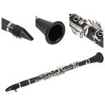 Beginner Bb Clarinet with Case and Accessories