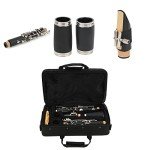 Beginner Bb Clarinet with Case and Accessories