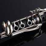 ZEFF Bb Clarinet for Beginners with Accessories