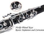 Kayata Bb Clarinet for Beginners with Accessories