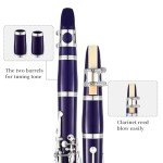 LeSage B Flat Purple Clarinet for Students