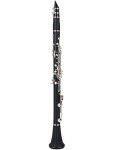 Kayata Bb Clarinet for Beginners with Accessories