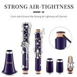 LeSage B Flat Purple Clarinet for Students