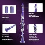 Soulmate Bb Flat Clarinet with Hard Case and Kit