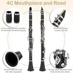 Ktaxon Bb Flat Beginner Clarinet with Accessories