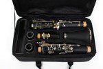 WUQIMUSC Bb Clarinet Set for Beginners with Accessories
