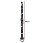 Mowind Bb Clarinet for Beginners with Case & Kit