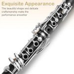 Ktaxon Bb Flat Beginner Clarinet with Accessories