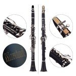 Mowind Bb Clarinet for Beginners with Case & Kit